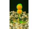 operations-speciales Ecto-Plasm Nuit Vision Baits